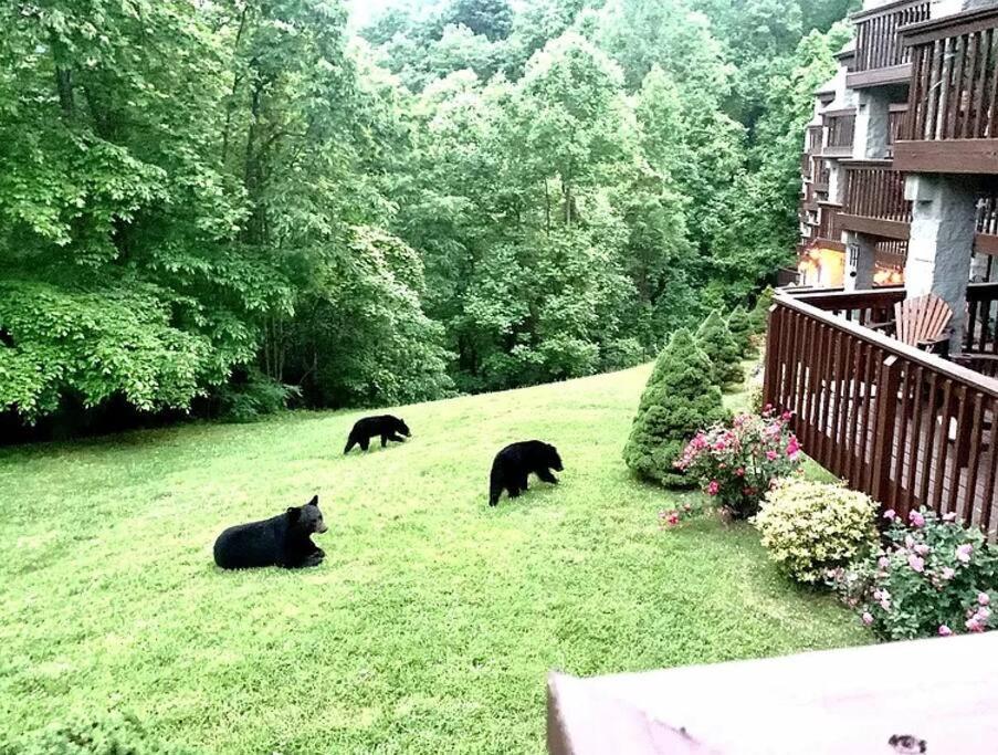 Views & Fireplace - Minutes To Gburg And Ober - Condo Gatlinburg Εξωτερικό φωτογραφία